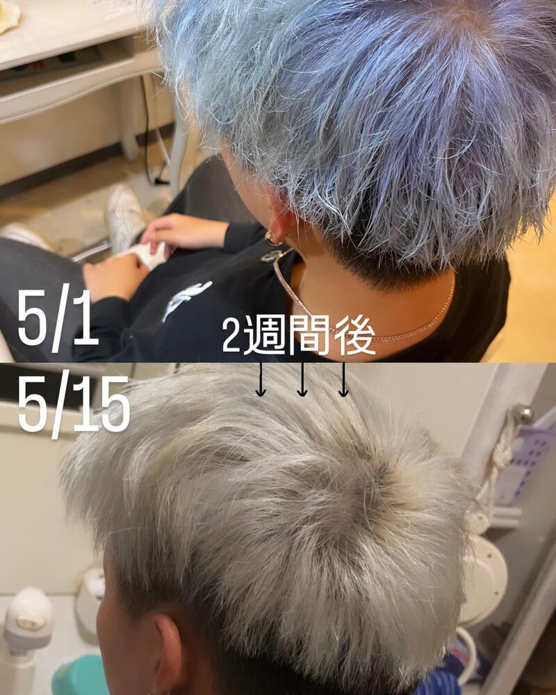 ブログ