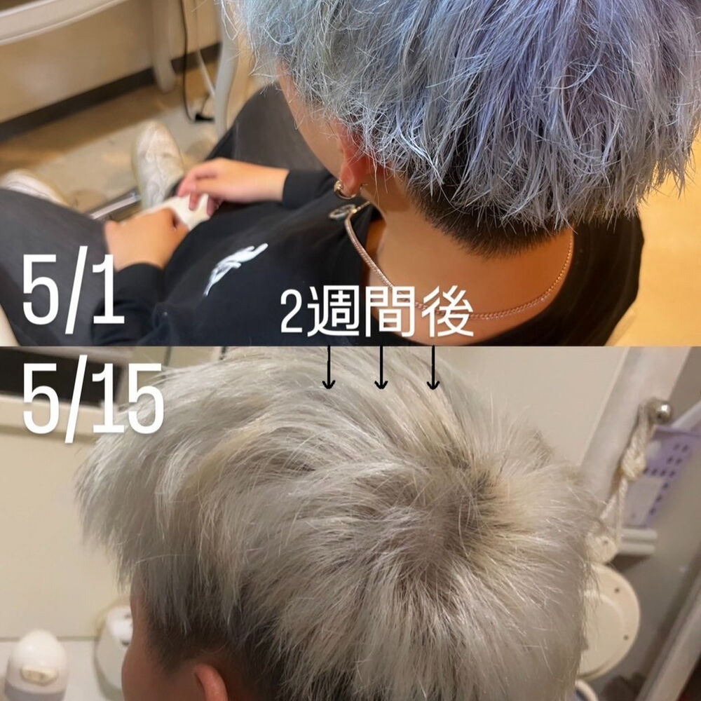 ブログ
